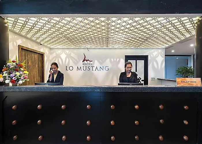 Lo Mustang 4*